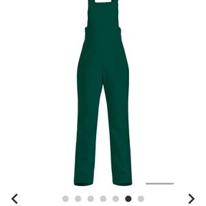 NWT Halfdays Carson Bib snow pant in alpine green